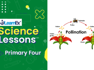 science4