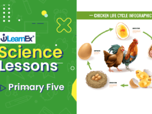 science5